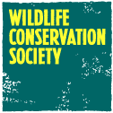 Wildlife Trade